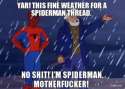 yar-this-fine-weather-for-a-spiderman-thread-no-shit-im-spiderman-motherfucker-thumb.png