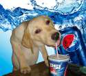 thirsty dogger.jpg