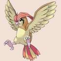 250px-017Pidgeotto.png