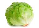 lettuce_iceberg.jpg