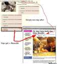 well-4chan-named-taylor-swifts-cat_o_954368.jpg