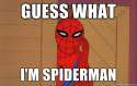 Guess What spider.jpg