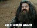 youre-a-hairy-wizard.jpg