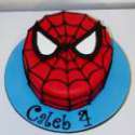 spiderman cake caleb.jpg