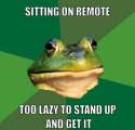 resized_foul-bachelor-frog-meme-generator-sitting-on-remote-too-lazy-to-stand-up-and-get-it-9fa90a-1.jpg