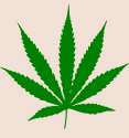 1000px-Cannabis_leaf.svg.png