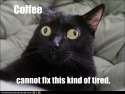 funny-cat-pictures-coffee-is-good-sleep-is-better.jpg