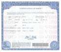 trump-nyc-birth-certificate.jpg
