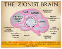 zionist-brain.jpg