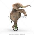 stock-photo-elephant-riding-a-unicycle-183804125.jpg