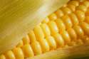 Cornw.jpg