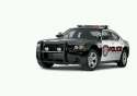 tmp_24835-Dodge Charger Police Car _33576279-1-1937824564.jpg