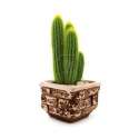 cactus151.jpg