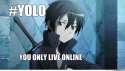 yolo-you-only-live-online-sao.jpg