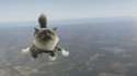 Skydiving cat.gif