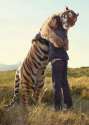Tiger hug.jpg
