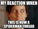 Spiderman Thread.jpg