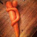 two-carrots-hugging[1].jpg
