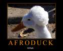 AfroDuckPoster.jpg