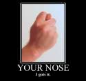 your_nose.jpg