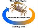 TheCrabCycle.png