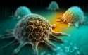 Cancer-cells-prevent-cure.jpg