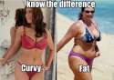 curvy vs fat.jpg