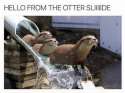 Otter Slide Mode.jpg