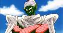 piccolo-arms-crossed-2.jpg