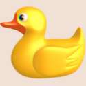 plastic-model-duck-icon.png