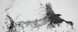 Raven-Bird-Flying-Minimalism-Smoke-Art-Abstract-Black-Gray-BW-WallpapersByte-com-2560x1080.jpg