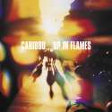 caribou-up-in-flames.jpg