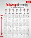 bodyweight exercises.jpg