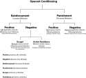 Operant_conditioning_diagram(2).png