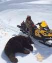 Man's face mauled by a Alaskan bear and barely survives 33.jpg