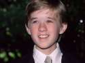 gty-haley-joel-osment-young-sk-mn-young-096ca59f4ab541f0b2487c2c3df3121e-large-1490103.jpg