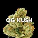 marijuana_strain_og_kush.jpg