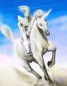 White-Knights on unicorns.jpg