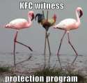 KFC witness protection program.jpg