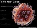 HIV virus.jpg