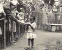 Los-asistentes-al-zoo-humano-de-la-Expo-de-Bruselas-1958-daban-platanos-a-una-ni.jpg