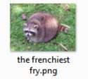 the frenchiest fry.png.jpg