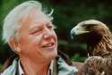 Sir David Attenborough.jpg