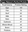 egg_protein_chart.gif