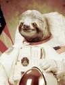 astronaut_sloth.jpg
