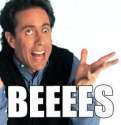 Bees!.jpg
