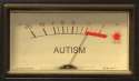 autism meter.jpg