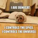 DuneCat.jpg