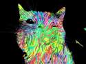 psychedelic_cat_by_choare-d7mgy92.jpg