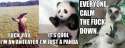 anteater-panda.jpg